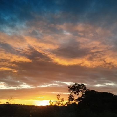 fncrl's profile picture. 
