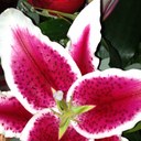 Amy Jesse - @AJesse16 - Twitter