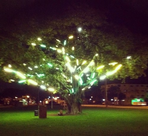 WSWRG's profile picture. 