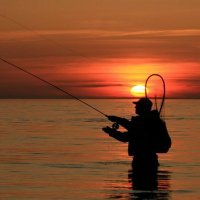 The Fisher (@luis_garci89573) 's Twitter Profile