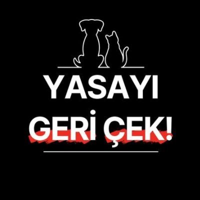 başlangıç seviyesinde okur, başladığını bitiremeyen seviyesinde yazar, kalpte edebiyatçı, kafada tarihçi ve boynu bükük ayçiçeği