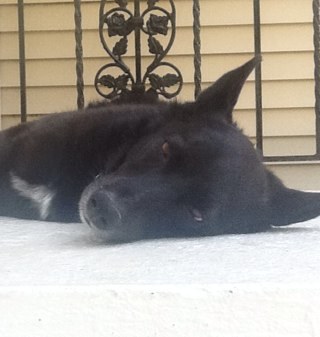 carolwegs's profile picture. 