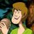 Profile image of shaggy