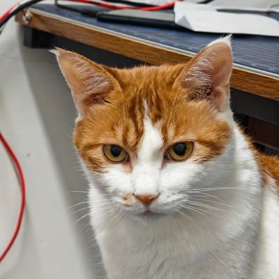 mrwangjianshu's profile picture. 