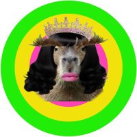 Capipara mumu v.2 (@capiparav) 's Twitter Profile