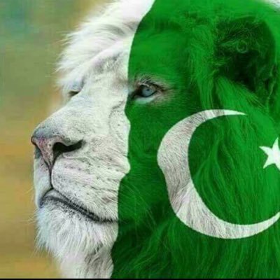 szubairhasan's profile picture. Foodie | Traveller | Patriot | Youtuber