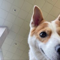 λ¦¬μ€ π¦ (@_riolio_00) 's Twitter Profile
