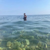 Nobody (@unantillhais) 's Twitter Profile