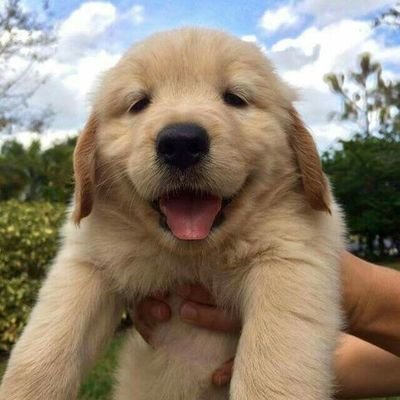 15_03_like's profile picture. 🌈🌦🐶🐰🦥🦋🌻🍎🍏🍌🍒🍓🍱🍙🎂🍨🥠🍦🍰🍮🦑🥛🍹🌟👚👖🎶🎵📷🎞🎥📽📚📰💴💸♋5️⃣