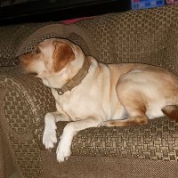 AKS (@rollyasr) 's Twitter Profile