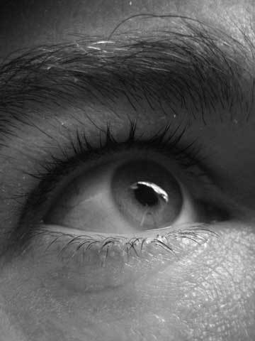 rsharvey's profile picture. 