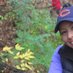 Aparna (@kaatukozhii) Twitter profile photo Aparna (@kaatukozhii) Twitter profile photo