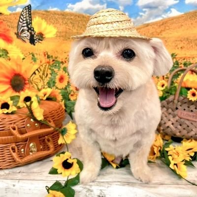 リイコさんのプロフィール画像