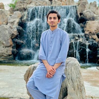Dr_M_Awais1's profile picture. Doctor