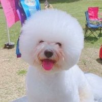 まんみん🧡💤 (@manmin0111) 's Twitter Profile Photo まんみん🧡💤 (@manmin0111) 's Twitter Profile Photo