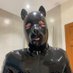 Pup Jaw 🏳️🌈🏳️⚧️ (@jawpup) Twitter profile photo Pup Jaw 🏳️🌈🏳️⚧️ (@jawpup) Twitter profile photo