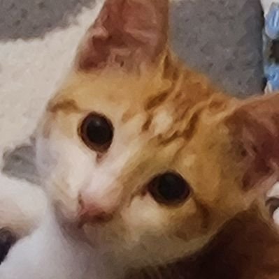 emih⁷🌿さんのプロフィール画像