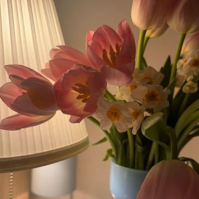 Kaojao310's profile picture. 🌷🤍🌹#srchfreen #beckysangels #FreenBecky