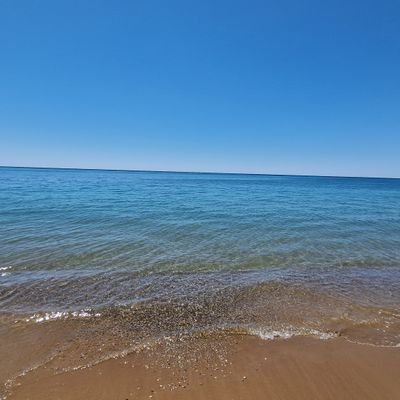 _PNesshead's profile picture. slowly crawling down the career ladder.