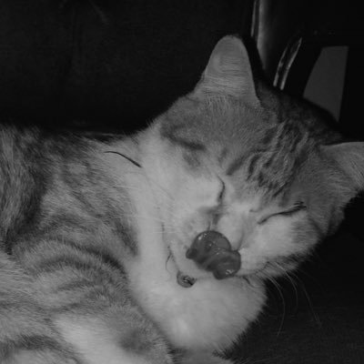 Margueritefirr's profile picture. :)