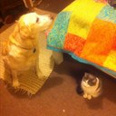 colleen beatty - @mandolindog - Twitter