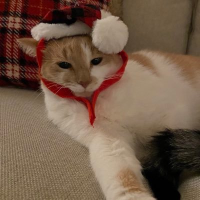 kickstp's profile picture. 