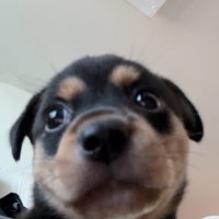 간장이 (@ganjang2dong) 's Twitter Profile Photo 간장이 (@ganjang2dong) 's Twitter Profile Photo