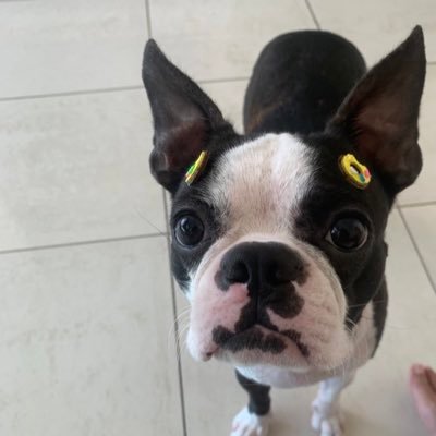 angel_to_myself's profile picture. Aqueles que não escutam a música, acham loucos os que dançam. 💃🎼