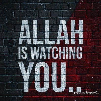 FeyselReshid's profile picture. 