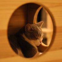 まさすぃ (@masasui55) 's Twitter Profile