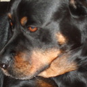 Peggy Labelle - @PeggyLabelle1 - Twitter