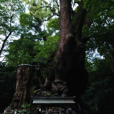 高尾奏音/AveMujica
/プリコネR/アイプラ/サニーピース/
広島東洋カープ/小園海斗
/神社ソムリエ佐々木優太/
神社巡り/神社検定弐級