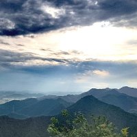 哈利 (@qiaoqiaoqiao89) 's Twitter Profile