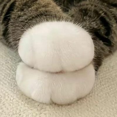 NONAME_456798's profile picture. たまにつぶやきすぐに消す