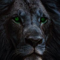 jkiooo63 (@jkiooo63) 's Twitter Profile