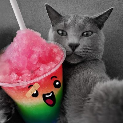 slushonnear's profile picture. Soon the resurrection of Slush