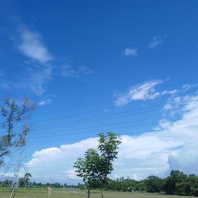 monayemshikder3's profile picture. 