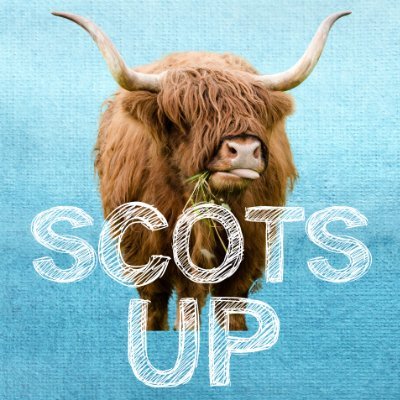 Curating the pulse of Scotland, news, reviews and happenings across the country