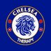 ChelseaTherapy (@chelsea_therapy) Twitter profile photo ChelseaTherapy (@chelsea_therapy) Twitter profile photo