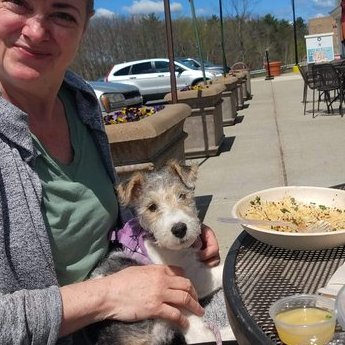 Rumplepimple's my brother. #WireFoxTerrier
We support dog, advocate for diversity & inclusion in children's books. Tweets by Declan.
https://t.co/OfuM4aQZtm