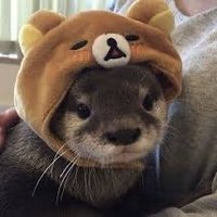 lil otter (@thepoofyotter) 's Twitter Profile