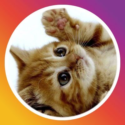 ReikaTateo69187's profile picture. 