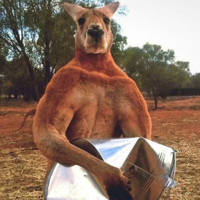 RettiwtXJ1's profile picture. 
