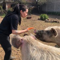 Vegandrea Araiz (@andreaaraiz) 's Twitter Profile Photo Vegandrea Araiz (@andreaaraiz) 's Twitter Profile Photo