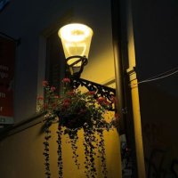 ْ (@jii1__) Twitter profile photo