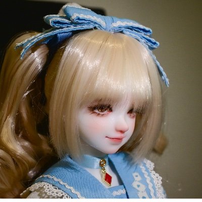 Alice_Silverkey's profile picture. raccoon king