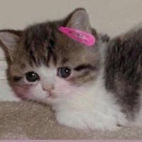 bidiyetisyen (@bidiyetisyenim) Twitter profile photo