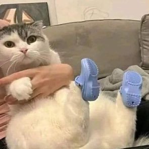 legallyiowan's profile picture. Just a girl, standing in front of the internet, asking for some validation.