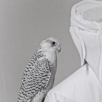 سعد المنصوري | SAAD🇦🇪 (@saad_alman22) 's Twitter Profile