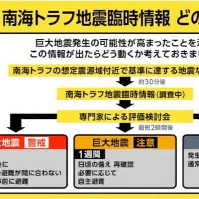 TsutsuiPapa's profile picture. 